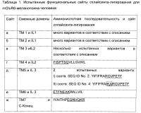Светочувствительный химерный белок gpcr Светочувствительный химерный белок gpcr