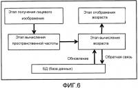 Способ оценки возраста и способ определения пола Способ оценки возраста и способ определения пола