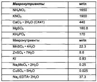 Косметическое применение дедифференцированных растительных клеток Косметическое применение дедифференцированных растительных клеток