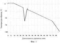 Способ криоконсервирования гемопоэтических стволовых клеток пуповинной крови Способ криоконсервирования гемопоэтических стволовых клеток пуповинной крови