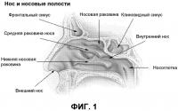 Безопасное применение десмопрессина Безопасное применение десмопрессина