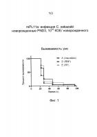 Способ получения пробиотиков и способы их применения