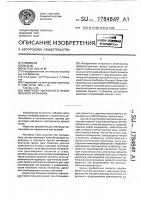 Имитатор удаленного протяженного источника Имитатор удаленного протяженного источника