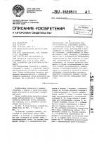 Устройство для измерения несоосности Устройство для измерения несоосности