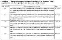 Бактериофаг, обладающий активностью против pseudomonas aeruginosa, белки бактериофага и способы их применения Бактериофаг, обладающий активностью против pseudomonas aeruginosa, белки бактериофага и способы их применения