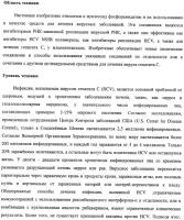 Нуклеозидфосфорамидаты в качестве противовирусных агентов Нуклеозидфосфорамидаты в качестве противовирусных агентов