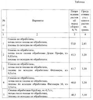 Способ защиты гречихи от гречишного долгоносика Способ защиты гречихи от гречишного долгоносика
