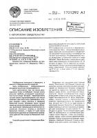 Способ хирургического лечения спаечной болезни Способ хирургического лечения спаечной болезни