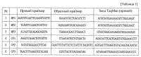 Устройство для интегрального анализа нуклеиновых кислот в реальном времени и способ определения целевой нуклеиновой кислоты с его использованием Устройство для интегрального анализа нуклеиновых кислот в реальном времени и способ определения целевой нуклеиновой кислоты с его использованием