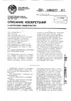 Способ моделирования деструктивного туберкулеза легких Способ моделирования деструктивного туберкулеза легких