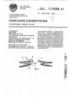 Способ лапаростомии Способ лапаростомии