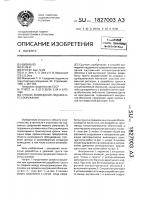 Способ возведения подземного сооружения Способ возведения подземного сооружения