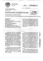Акробатическая дорожка Акробатическая дорожка