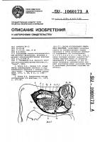 Способ исследования кишечника животных Способ исследования кишечника животных