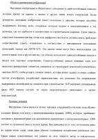 Армированные цементные сдвигоустойчивые панели Армированные цементные сдвигоустойчивые панели