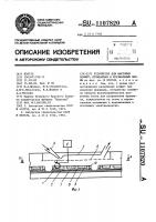 Устройство для выстойки конфет, отливаемых в крахмальные формы Устройство для выстойки конфет, отливаемых в крахмальные формы