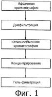 Способ очистки интерферона бета человека Способ очистки интерферона бета человека