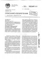Спиральный рыбоход Спиральный рыбоход