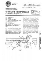 Устройство для обработки графических записей электрических сигналов Устройство для обработки графических записей электрических сигналов