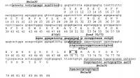 Способ диагностики устойчивости крупного рогатого скота к вирусу лейкоза Способ диагностики устойчивости крупного рогатого скота к вирусу лейкоза