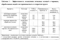 Способ обеззараживания черенков смородины от почковых клещей Способ обеззараживания черенков смородины от почковых клещей