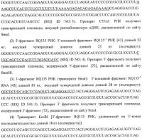 Контролируемая деградация структурированных полирибонуклеотидов Контролируемая деградация структурированных полирибонуклеотидов