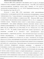 Иммуносупрессоры Иммуносупрессоры