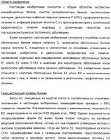 Очищенные оболочечные белки вируса гепатита с для диагностического и терапевтического применения Очищенные оболочечные белки вируса гепатита с для диагностического и терапевтического применения