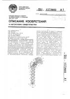 Эндопротез проксимального эпиметафиза бедренной кости Эндопротез проксимального эпиметафиза бедренной кости