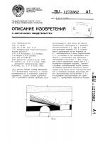 Способ охраны горных выработок Способ охраны горных выработок