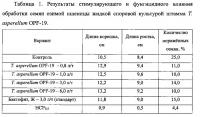 Штамм гриба trichoderma asperellum для получения биопрепарата комплексного действия для растениеводства Штамм гриба trichoderma asperellum для получения биопрепарата комплексного действия для растениеводства