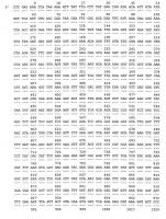 Рекомбинантная плазмидная днк pgd-14, содержащая гибридный ген, включающий нуклеотидную последовательность декстрансвязывающего домена бета-кокков, объединенную с геном гамма-интерферона человека через кислотолабильный спейсер, определяющая биосинтез химерной белковой конструкции дсд(сп)чгиф Рекомбинантная плазмидная днк pgd-14, содержащая гибридный ген, включающий нуклеотидную последовательность декстрансвязывающего домена бета-кокков, объединенную с геном гамма-интерферона человека через кислотолабильный спейсер, определяющая биосинтез химерной белковой конструкции дсд(сп)чгиф