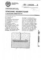 Шов массивных бетонных сооружений Шов массивных бетонных сооружений