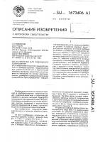Устройство для подводного полирования Устройство для подводного полирования