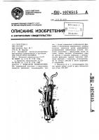 Фиксатор позвоночника Фиксатор позвоночника