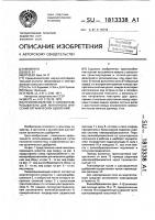 Приспособление к навозоразбрасывателю для ленточного внесения органических удобрений Приспособление к навозоразбрасывателю для ленточного внесения органических удобрений
