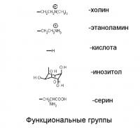 Способы рафинирования масла Способы рафинирования масла