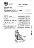 Способ опорной пластики нижнего века Способ опорной пластики нижнего века