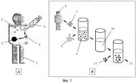 Функциональный иммуноанализ in vitro Функциональный иммуноанализ in vitro
