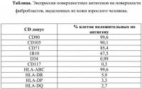 Способ выделения фибробластов, способ создания биотрансплантата на их основе (варианты) и способ регенерации тканей человека (варианты) Способ выделения фибробластов, способ создания биотрансплантата на их основе (варианты) и способ регенерации тканей человека (варианты)