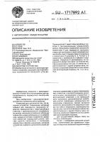 Запорное устройство Запорное устройство