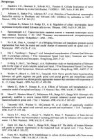 Способ тканевой инженерии спинного мозга после его анатомического разрыва Способ тканевой инженерии спинного мозга после его анатомического разрыва