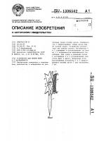 Устройство для ловли рыбы а.г.карбивничего Устройство для ловли рыбы а.г.карбивничего