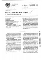 Пружина Пружина