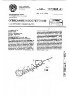 Компенсационный эректор Компенсационный эректор