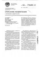 Эректор Эректор