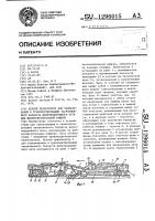 Цепной транспортер для захватывания и транспортирования загрязненного балласта железнодорожного пути для щебнеочистительной машины Цепной транспортер для захватывания и транспортирования загрязненного балласта железнодорожного пути для щебнеочистительной машины