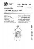Тренировочное чучело Тренировочное чучело