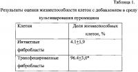 Способ терапии повреждений кожи и биотрансплантат для его осуществления Способ терапии повреждений кожи и биотрансплантат для его осуществления
