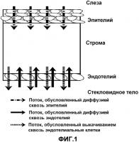Неинвазивный датчик для определения функциональных характеристик роговицы, устройство, содержащее упомянутый датчик, и его применение Неинвазивный датчик для определения функциональных характеристик роговицы, устройство, содержащее упомянутый датчик, и его применение